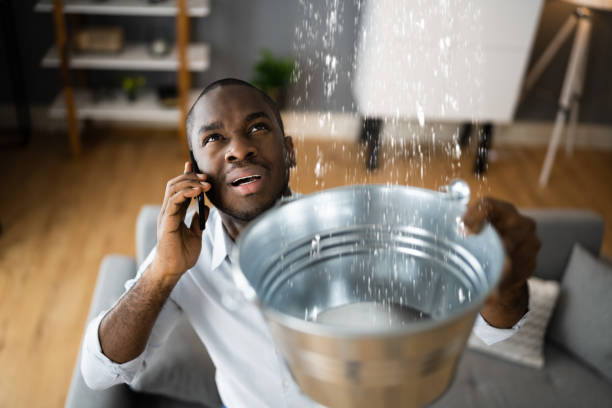 Best Local water damage restoration  in West Lafayette, OH