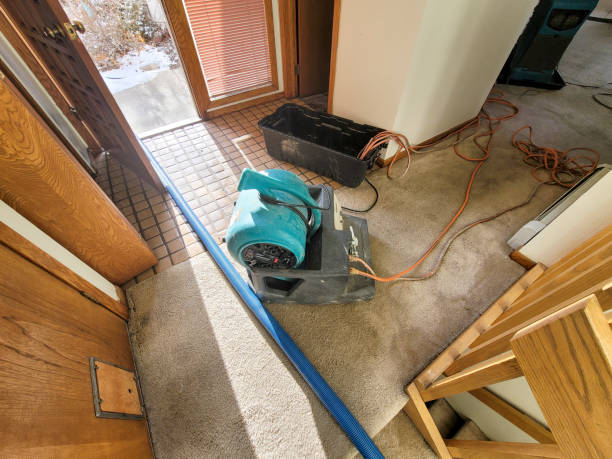 Best Commercial water damage restoration  in West Lafayette, OH