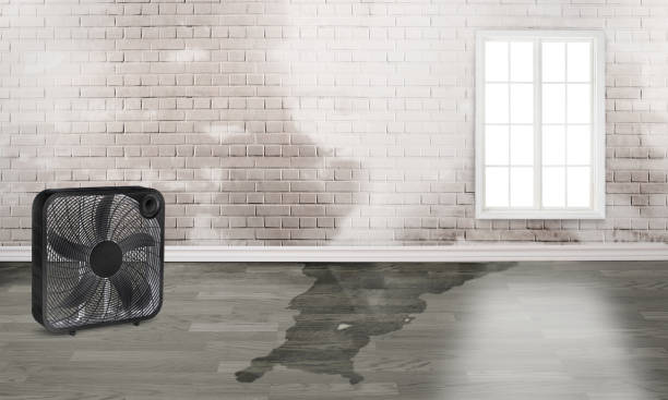 Best Emergency water damage restoration  in West Lafayette, OH