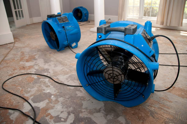 Best Flood restoration services  in West Lafayette, OH